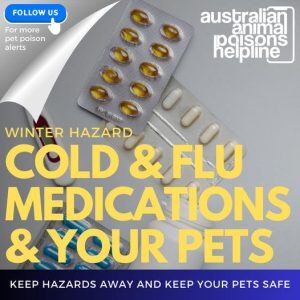 Cold and flu medications